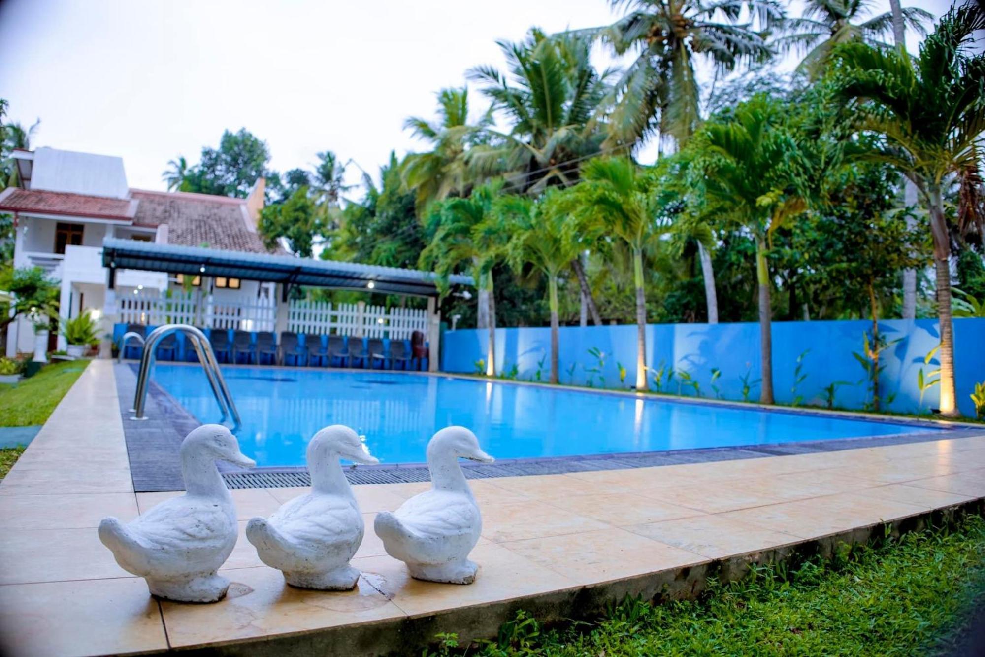 Villa Viola Resort Marawila Exteriör bild